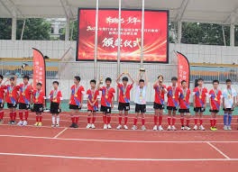 AI技术助力世界杯越位判罚的革命性变革